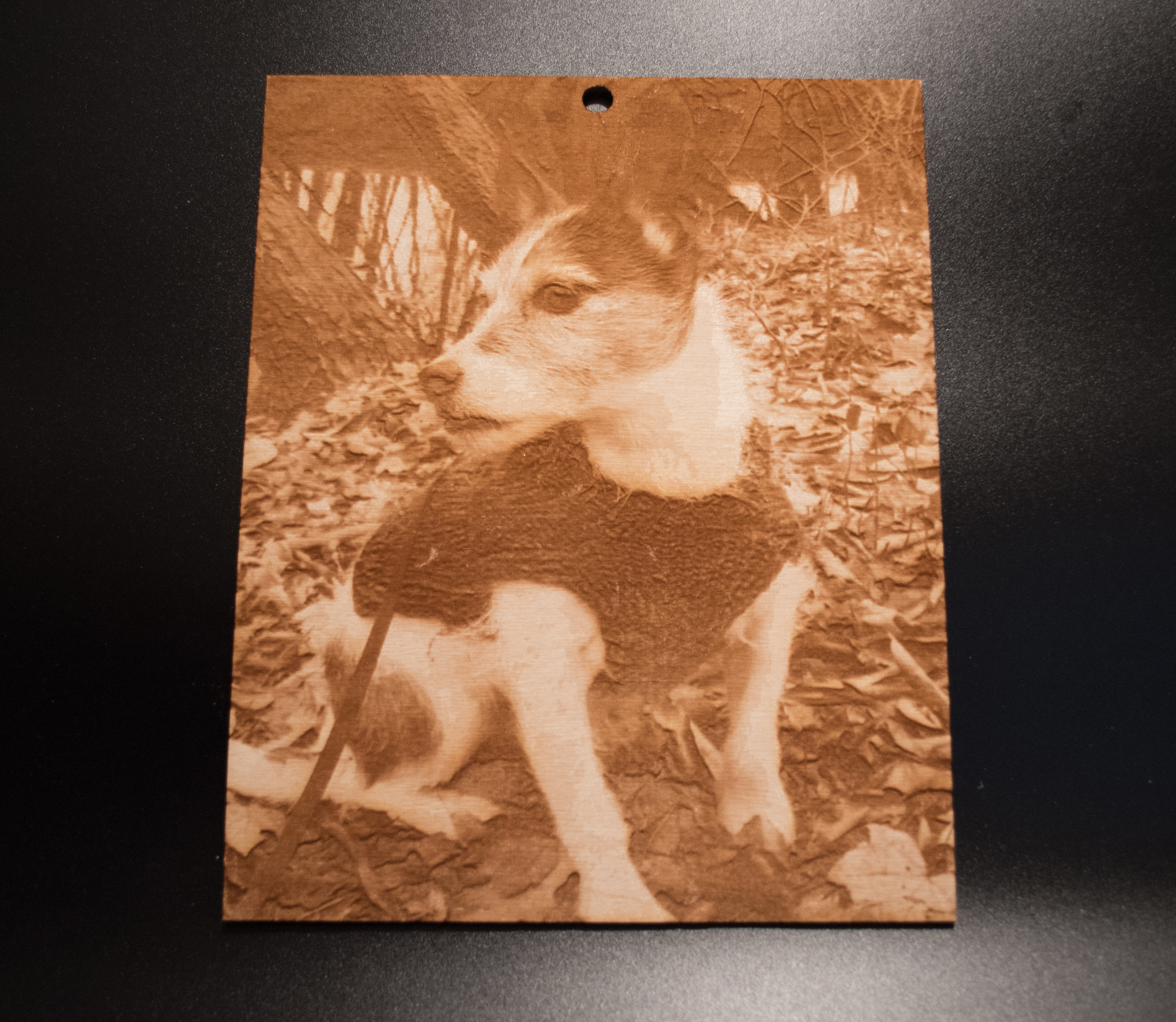 Engraved photo with dog