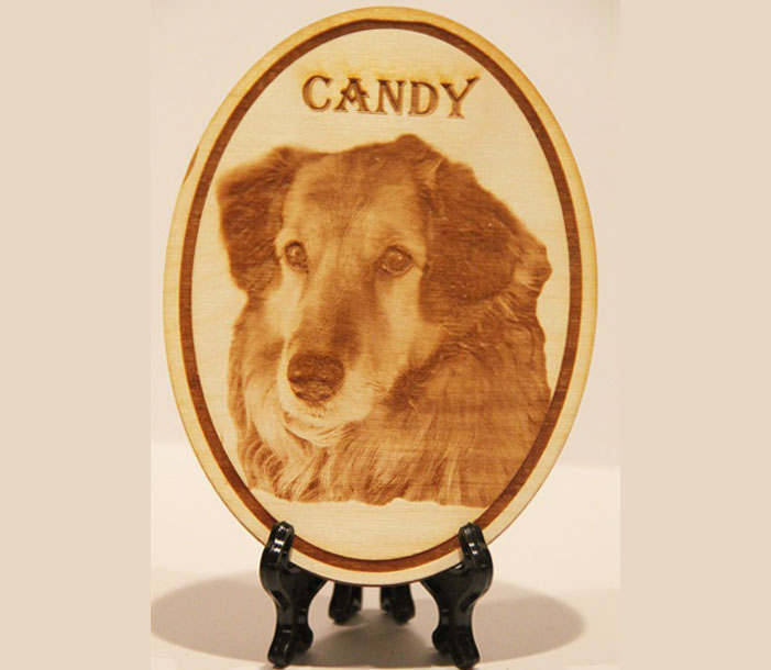 Custom Image Plaque - Oval